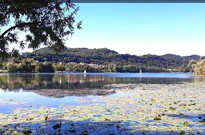 Al Lago Guest House Revine Lago Chalet