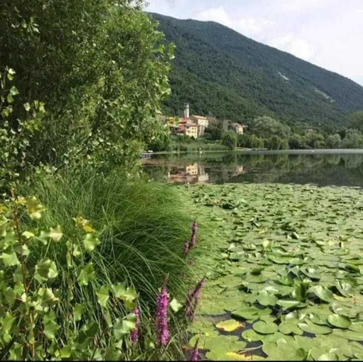 Chalet Al Lago Guest House Revine Lago